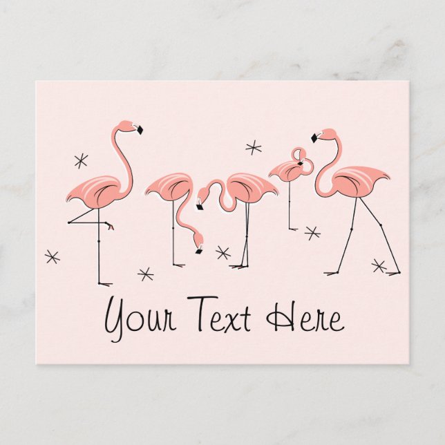 Flamants roses Carte postale de groupe rose (Devant)