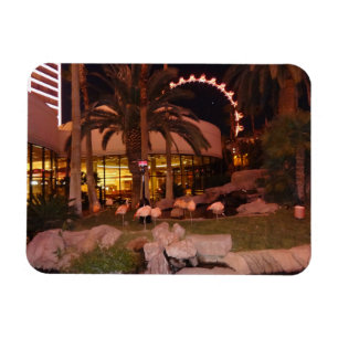 Flamants roses, Las Vegas Photo Magnet
