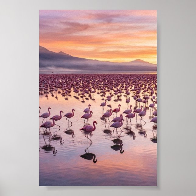 Flamants roses Poster Mat Mat tropical du lac de P (Devant)