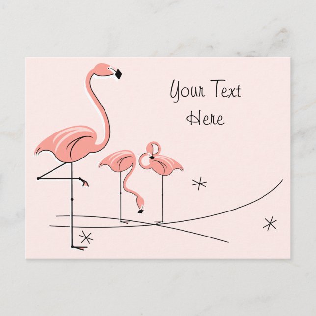 Flamants roses Rose Trio 4 Texte carte postale (Devant)
