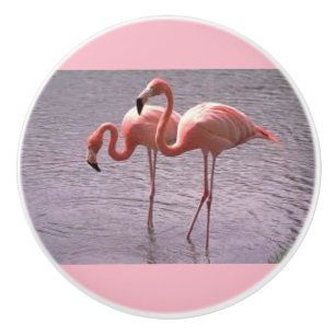 Flamants roses roses sur les boutons en céramique