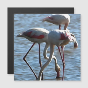 Flamants roses Temps d'alimentation Peinture acryl