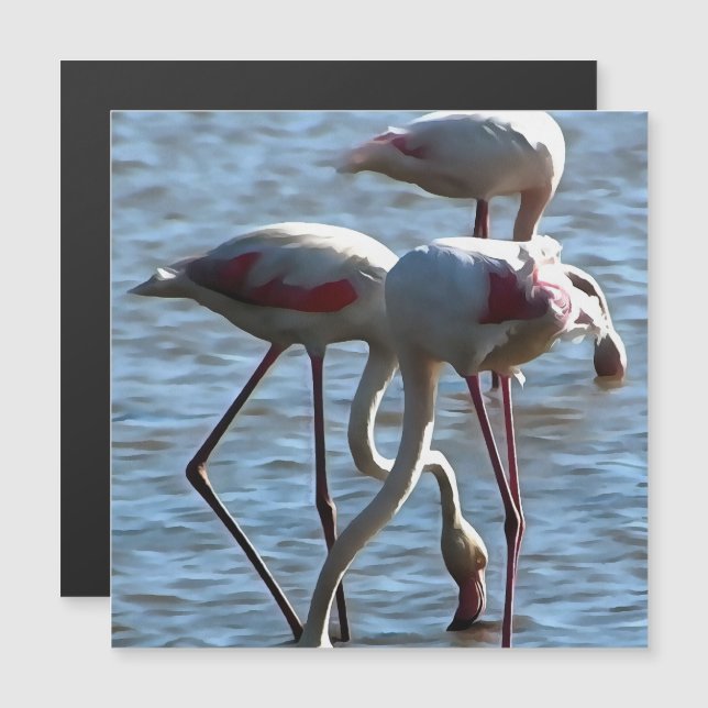 Flamants roses Temps d'alimentation Peinture acryl (Devant / Derrière)