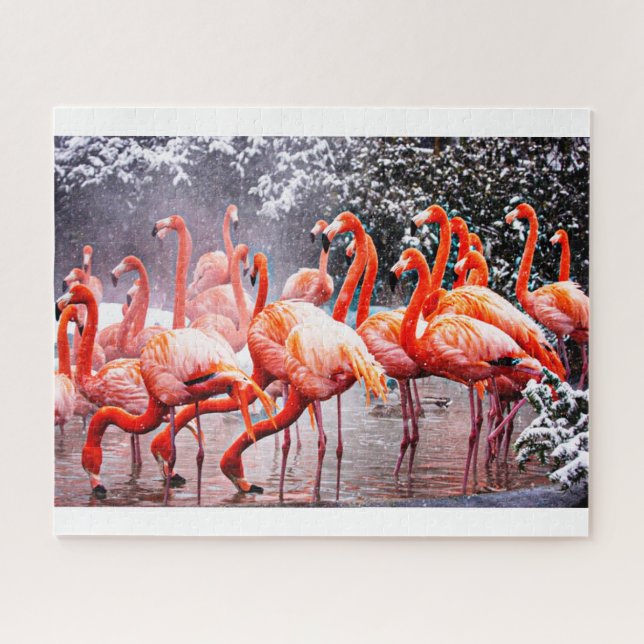 Flamingo Jigsaw Puzzle (Horizontal)