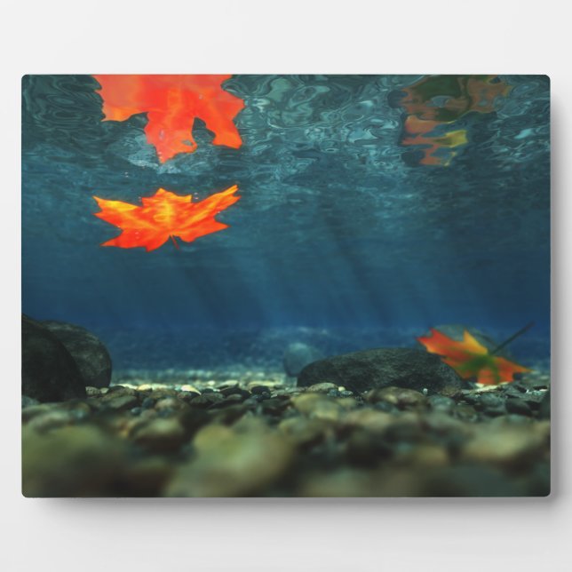 Flamme dans la plaque photo de l'eau (Devant)