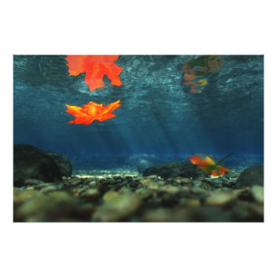 Flamme dans l'eau Impression photo