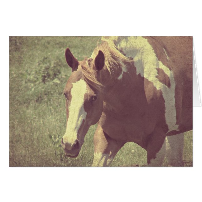 Flashy Faux Vintage (Devant horizontal)