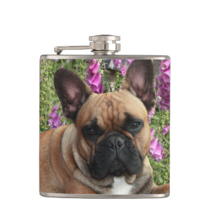 Flasque avec bouledogue français