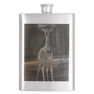 Flasque Baby Giraffe