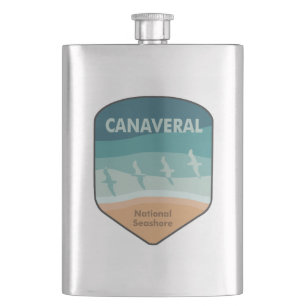 Flasque Canaveral National Seashore Florida Seaguls