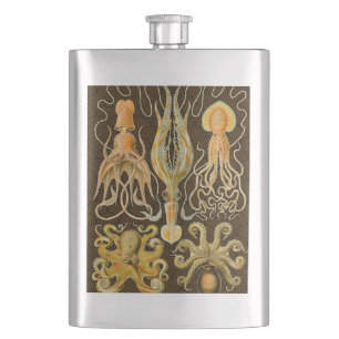 Flasque Cephalopod poulpe calmar Nature marine
