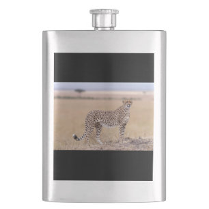 Flasque Cheetah