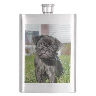 Flasque Chiot en carlin noir