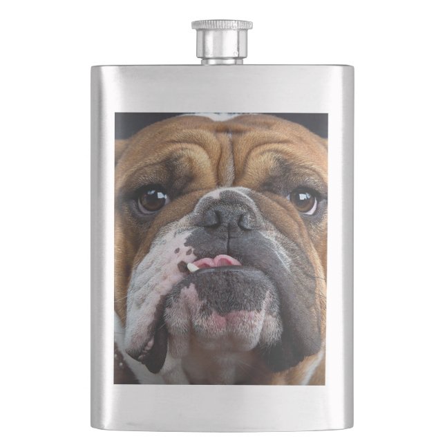 Flasque Coussin de jet de Bouledogue Anglais (devant)