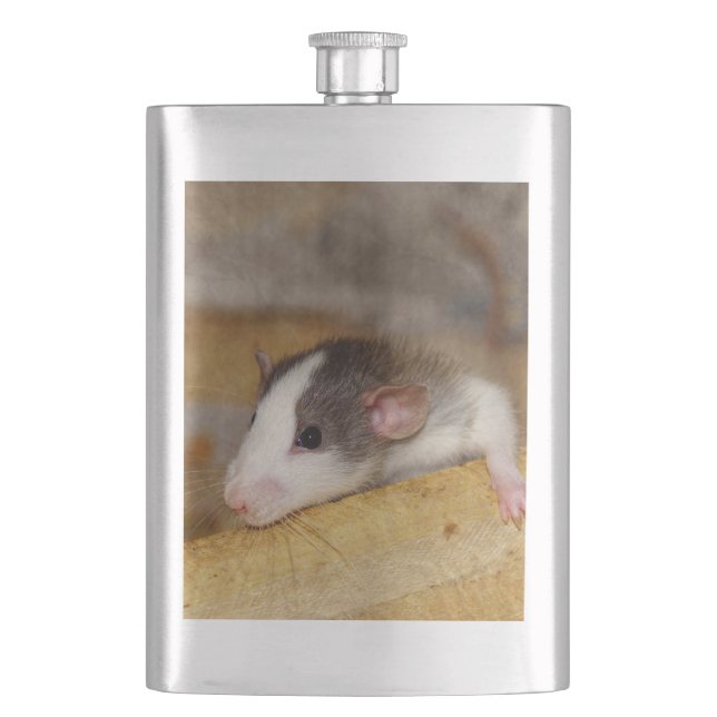 Flasque Cute rat (devant)