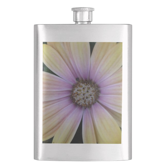 Flasque Fleur marguerite jaune et violet (devant)