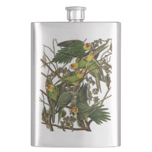 Flasque Illustration Audubon Carolina Parrot Bird