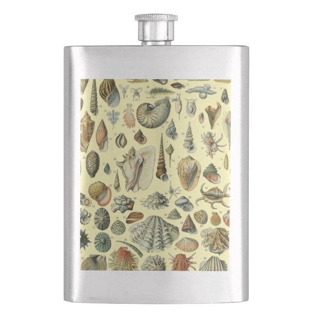 Flasque Impression vintage de coquillages d'Adolphe Millot (devant)