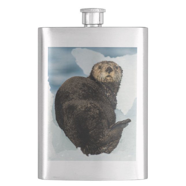 Flasque Loutre de mer (devant)