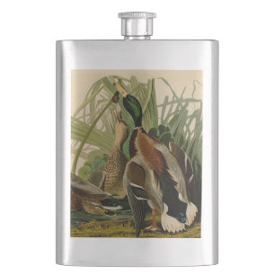 Flasque Peinture d'oiseaux de Mallard Duck Audubon