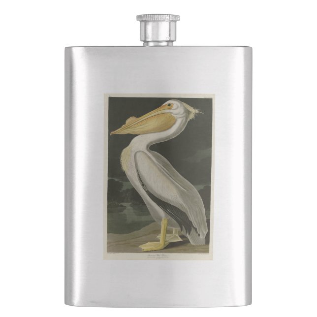 Flasque Pélican blanc américain, les oiseaux d'Amérique d' (devant)