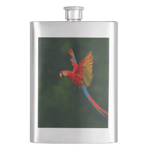Flasque Perroquet en vol