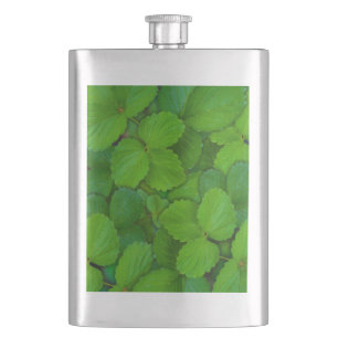 Flasque Saint Basil Tulsi Green Mint Feuilles