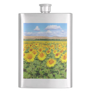 Flasque Terrain de tournesol
