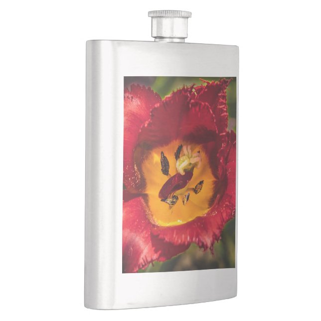 Flasque Tuliforme rouge (Droite)