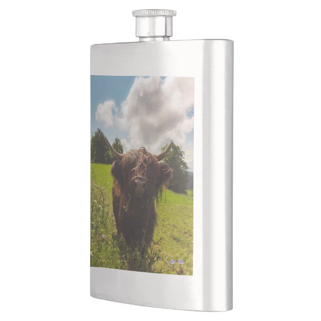 Flasque Vache noire pâturage vert champ soleil (Gauche)