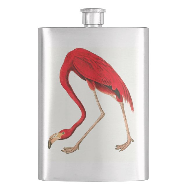 Flasque Vintage Flamant rose rose peinture classique flaco (devant)