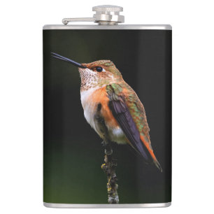 Flasques Adorable colibri roux à la branche
