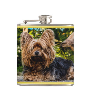 Flasques Adorable sweet Yorkshire terrier gold foil design