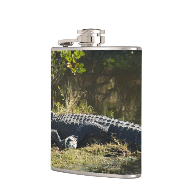 Flasques Alligator américain se reposant le long d'une zone (Gauche)