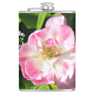 Flasques Belle tulipe rose