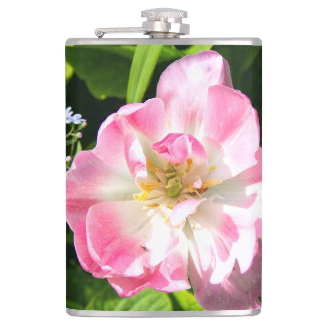 Flasques Belle tulipe rose (Devant)