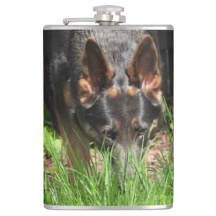Flasques Berger allemand Stare Woodchuck effrayant