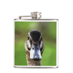 Flasques Bonjour Ducky Quirky Duck Portrait
