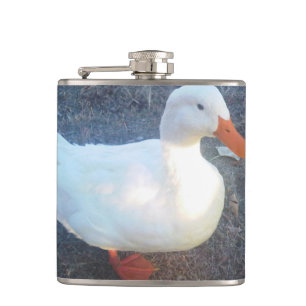 Flasques Bouchon