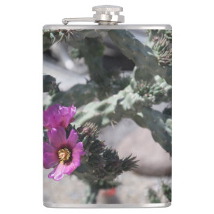 Flasques Cactus Challa en fleurs