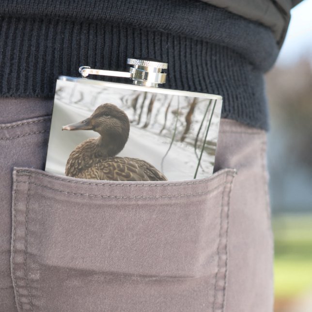 Flasques Canard gris sur la nuit du lac (In Situ)