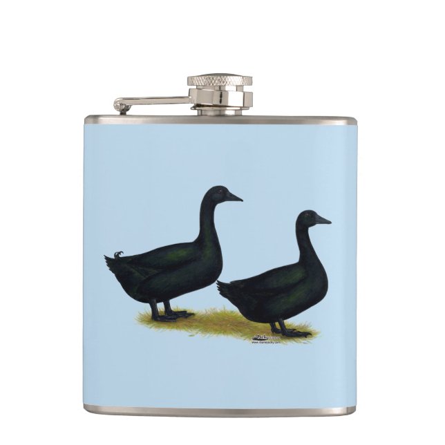 Flasques Canards : Cayugas noirs (Devant)