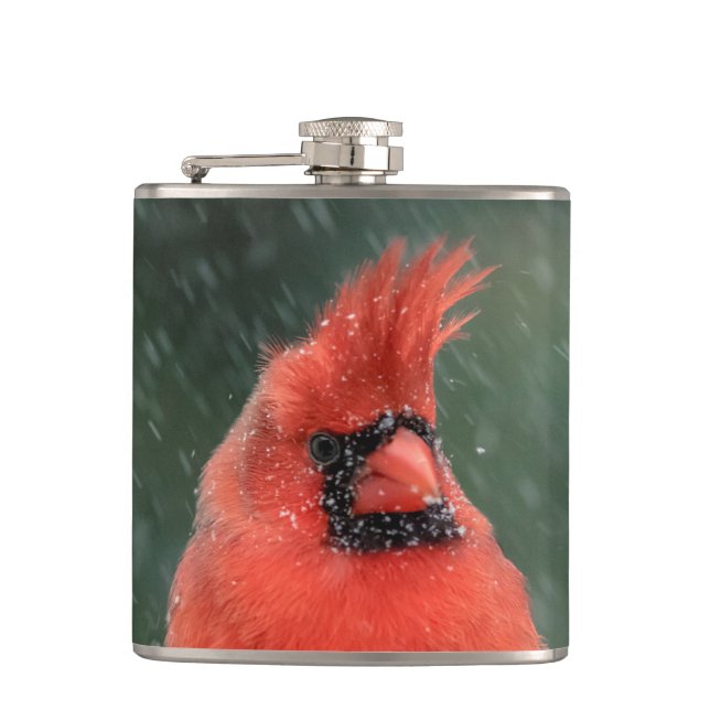 Flasques Cardinal dans un pin pendant une tempête de neige (Devant)