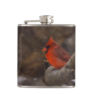 Flasques Cardinal de la tempête de neige