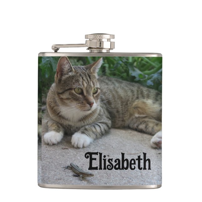 Flasques chat, mignonne, animal de compagnie, gris, fureur, (Devant)