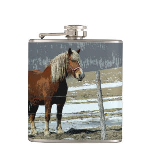 Flasques Cheval Belge En Paddock Drink Flask