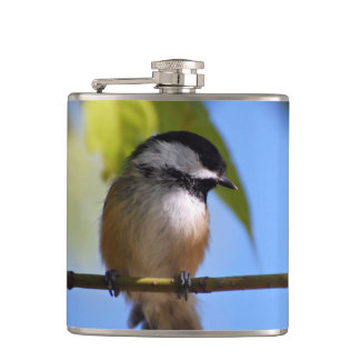 Flasques Chickadee mignon sur une photographie de branche