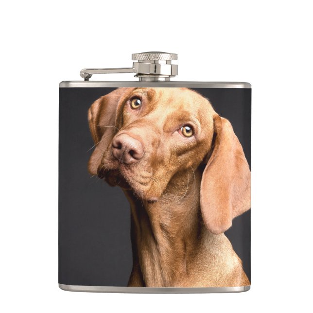 Flasques Chien Beagle Brown animal (Devant)