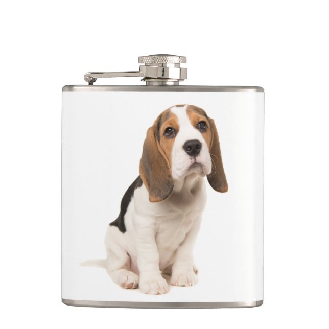 Flasques Chien de race Beagle Bleu Ciel Adorable (Devant)