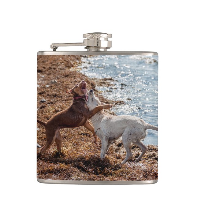 Flasques Chiens sur la plage (Devant)